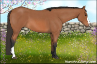 Horse Color:Bay Roan 