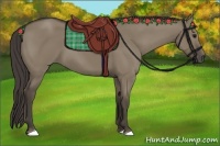 Horse Color:Smoky Grullo 