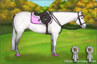 Horse Color:Gray Bay 