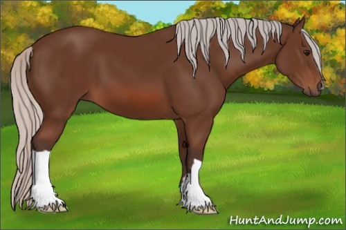 Horse Color: Silver Bay 