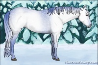 Horse Color:Gray Watercolor Chestnut 