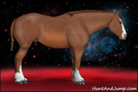 Horse Color:Liver Chestnut Sabino