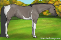 Horse Color:Grullo Tobiano Rabicano