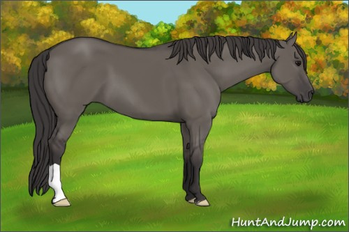 Horse Color: Smoky Grullo 
