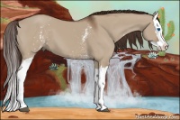 Horse Color:White Spotted Liver Red Dun Splash 