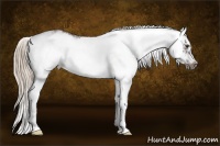Horse Color:Liver Chestnut Sabino Frame 