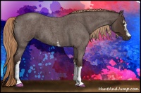 Horse Color:White Spotted Liver Red Roan 