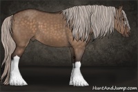 Horse Color:Silver Bay Dun 