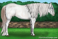 Horse Color:Bay Splash Varnish 