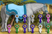 Horse Color:White Spotted Brown Appaloosa Rabicano