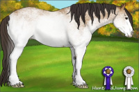 Horse Color:White Spotted Buckskin
