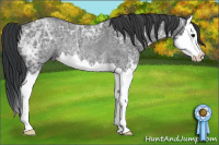 Horse Color:Brown Ice Roan Splash Rabicano 