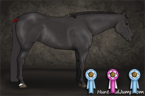 Horse Color: Buckskin Rabicano 