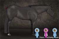 Horse Color:Buckskin Rabicano 