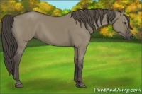 Horse Color:Smoky Grullo 
