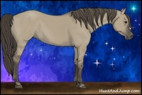 Horse Color:Smoky Grullo 