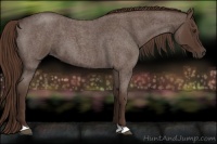 Horse Color:Liver Red Roan 