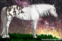Horse Color:Liver Chestnut Blanket 