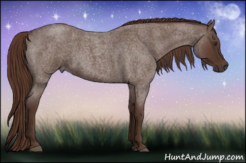 Horse Color: Liver Red Roan 