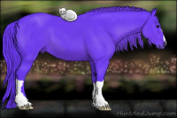 Horse Color:Watercolor Black 