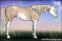 Horse Color:Chocolate Palomino Pearl Splash 
