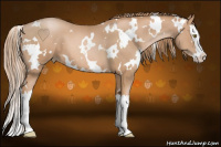 Horse Color:White Spotted Liver Chestnut Pearl Splash 