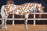 Horse Color:Silver Bay Appaloosa