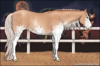 Horse Color:White Spotted Silver Sable Champagne 