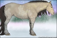 Horse Color:Sable Champagne Ice 