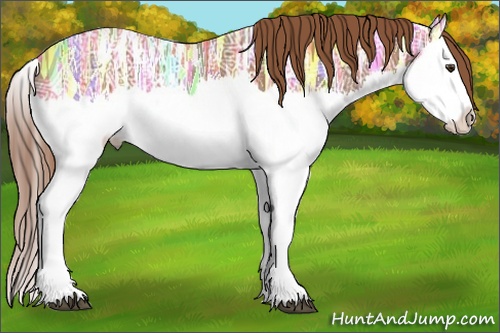 Horse Color: Chestnut Ice Splash 