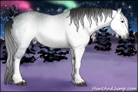 Horse Color:Gray Black Ice