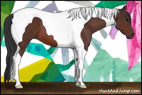 Horse Color: Bay Tobiano 