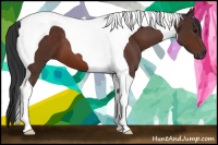 Horse Color:Bay Tobiano 