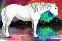 Horse Color:Gray White Spotted Palomino Ice Splash