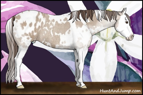 Horse Color: White Spotted Classic Champagne Roan Splash Blanket Rabicano 