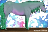 Horse Color:Watercolor Bay 