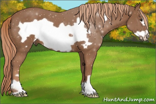 Horse Color: Chestnut Frame 