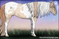 Horse Color:Sable Cream Champagne Tobiano Varnish 
