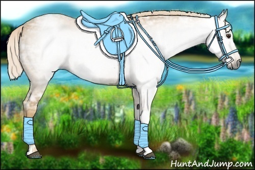 Horse Color:Gray Palomino Ice Tobiano