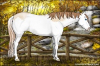 Horse Color:Smoky Grullo Pearl Sabino Splash 