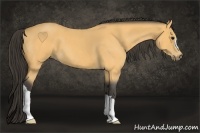 Horse Color:Buckskin Roan 