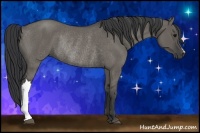 Horse Color:Grullo Rabicano 