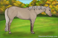 Horse Color:Silver Grullo 