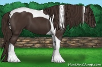 Horse Color:Liver Chestnut Tobiano 