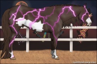 Horse Color:Liver Chestnut Frame 