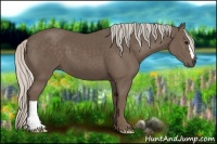 Horse Color:Silver Black 