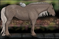 Horse Color:Silver Black 