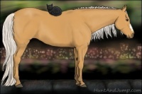 Horse Color:Silver Buckskin 