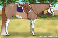 Horse Color:Red Roan Splash 