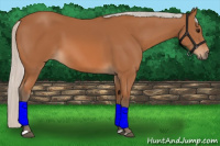 Horse Color:Silver Bay 